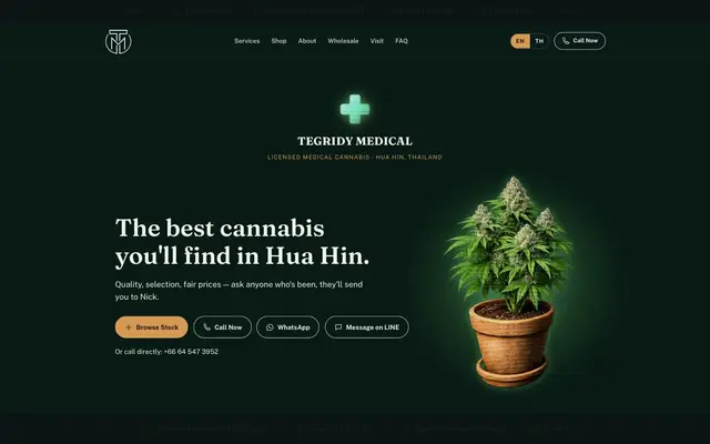 Aperçu du site Tegridy Medical